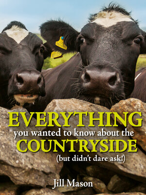 cover image of Everything you Wanted to Know about the Countryside